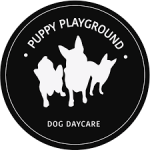 Profile photo of puppyplaygroundsydney